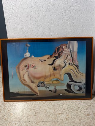 Cuadro Dalí