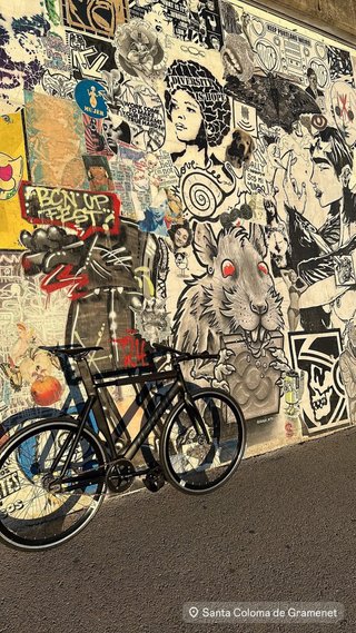 Fixie Derial talla L
