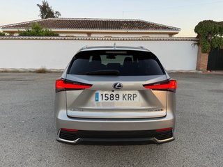 Lexus NX 2018 executive navigatioon 4x4