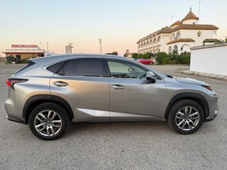 Lexus NX 2018 executive navigatioon 4x4