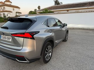 Lexus NX 2018 executive navigatioon 4x4