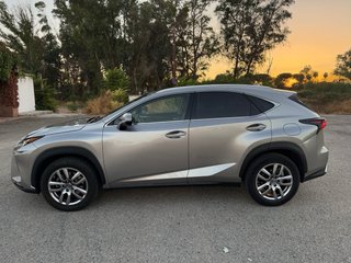 Lexus NX 2018 executive navigatioon 4x4