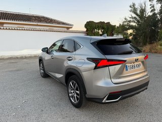 Lexus NX 2018 executive navigatioon 4x4
