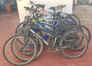Lote de 5 Bicicletas