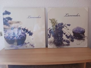 2 Cuadros Decorativos Lavanda
