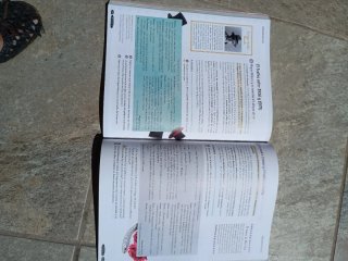 Lengua castellana y literatura Geniox