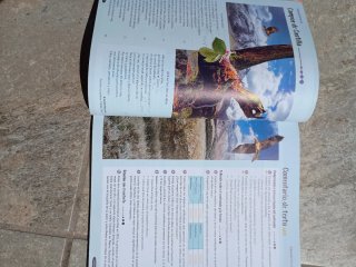 Lengua castellana y literatura Geniox