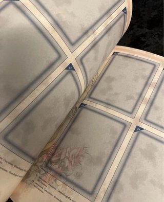 Album Santini Madonna di Lourdes Collezione