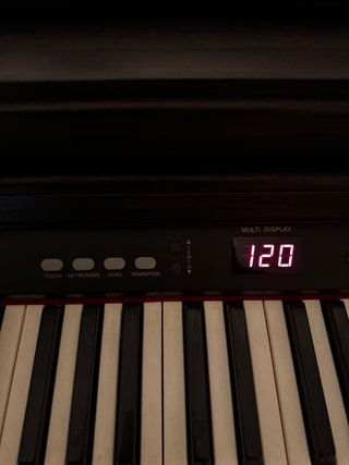 Piano Digital Ringway TG-8860 con Pedalera