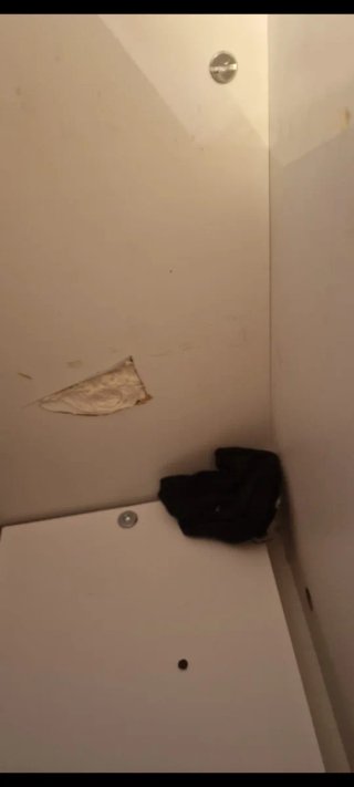 Cama alta con escritorio y estanterías