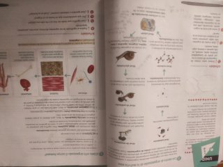 Biología y Geología 3º ESO. GENIOX