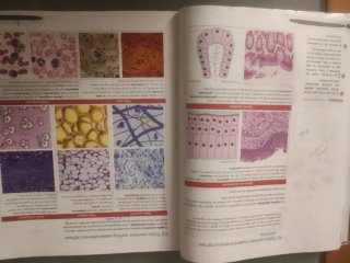 Biología y Geología 3º ESO. GENIOX