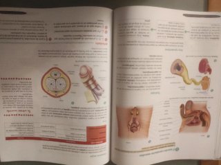 Biología y Geología 3º ESO. GENIOX