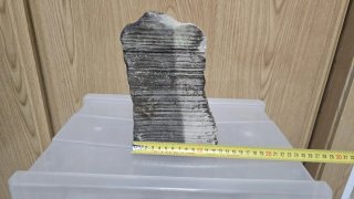 Piedra Decorativa Acuario