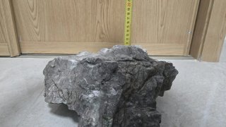 Roca natural para acuario