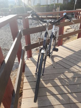 Bicicleta de paseo