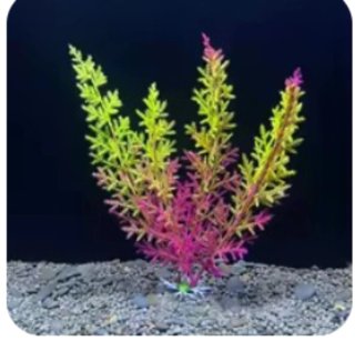 Acuario 30L con accesorios
