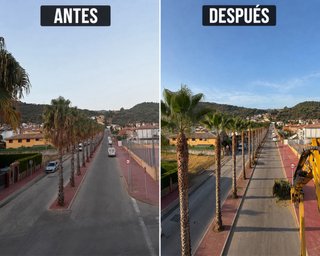 Servicio de mantenimiento de jardines y piscinas