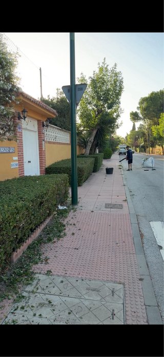 Servicio de mantenimiento de jardines y piscinas
