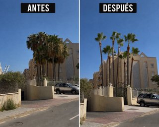 Servicio de mantenimiento de jardines y piscinas
