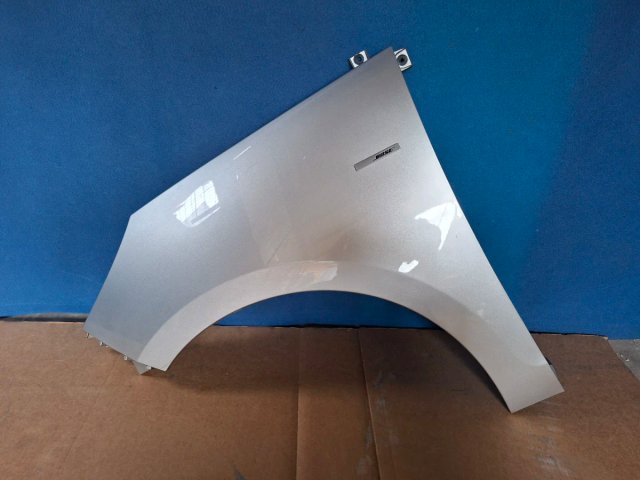 Guardabarro Renault Scenic III 631010188R