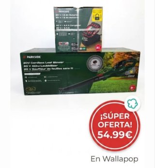 Parkside Soplador Hojas con cargador y Batería 20V