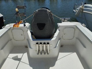 Bayliner Trophy 5.5 WA
