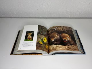 Libro "Cachorros" de la colección Cube Book