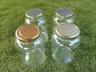 4 botes de cristal con tapa