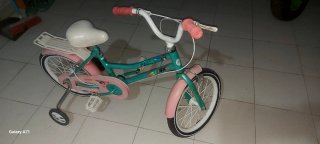 Bicicleta infantil