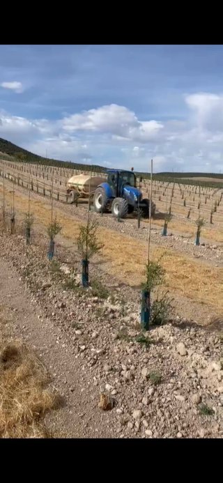 Servicios agrícolas con tractor