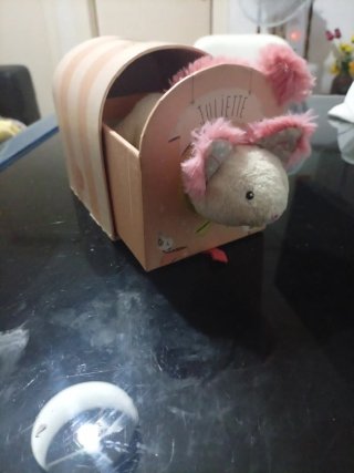 Gato Juliette peluche en caja