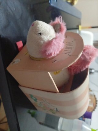 Gato Juliette peluche en caja