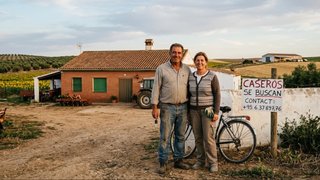 SE BUSCA CASEROS EN FINCA DE LA CAMPIÑA SEVILLANA
