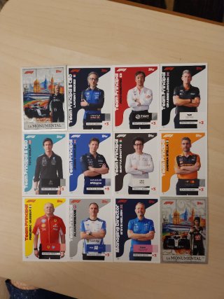Lote 12 cartas F1 Turbo Attax 2026