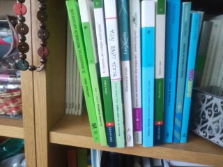 Lote de 10 Libros Lectura Infantil / Juvenil