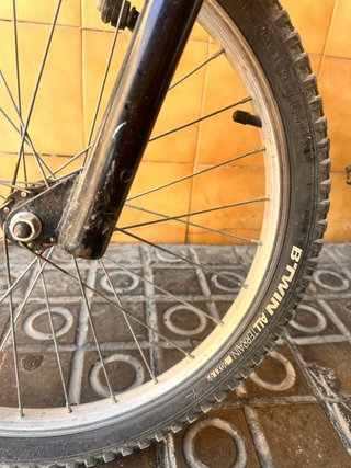 Bicicleta Infantil 20