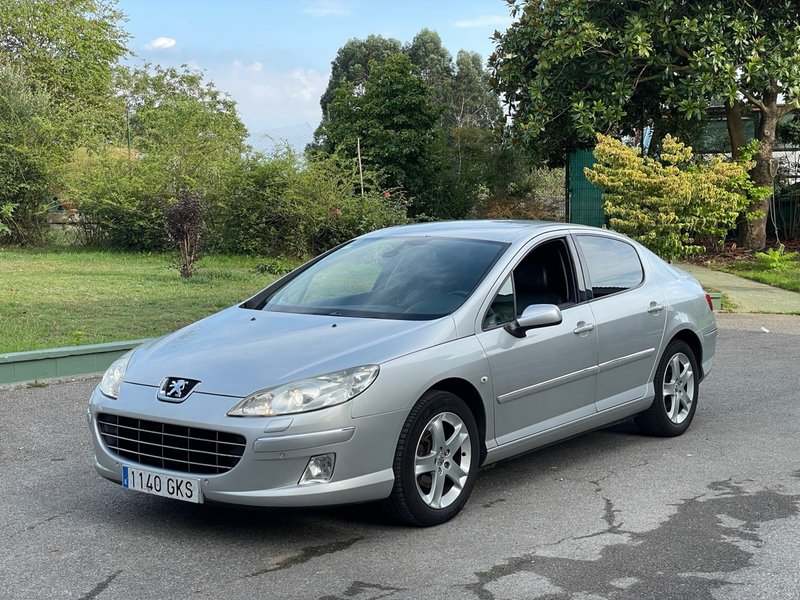Peugeot 407 2009 - foto 1