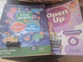Libros de sexto de primaria