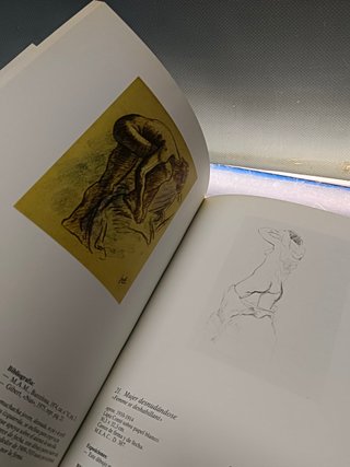 libro, arte, catalogo, Julio González: DIBUJOS (exposición, Madrid 1982/1983)