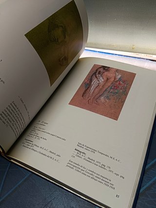 libro, arte, catalogo, Julio González: DIBUJOS (exposición, Madrid 1982/1983)