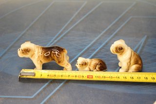 Familia bulldogs porcelana china.