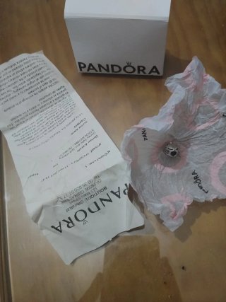 Charm Pandora y pulsera plata
