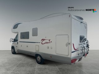 GIOTTILINE THERRY THERRY T40