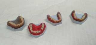 Prótesis Dental Articuladores para Estudiantes