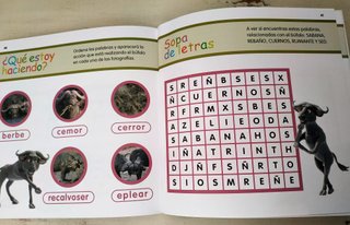 EL BÜFALO Libro y PASATIEMPOS 4/8 años