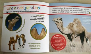 EL CAMELLO Libro y PASATIEMPOS 4/8 años