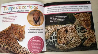 EL LEOPARDO Libro y PASATIEMPOS 4/8 años