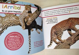 EL LEOPARDO Libro y PASATIEMPOS 4/8 años