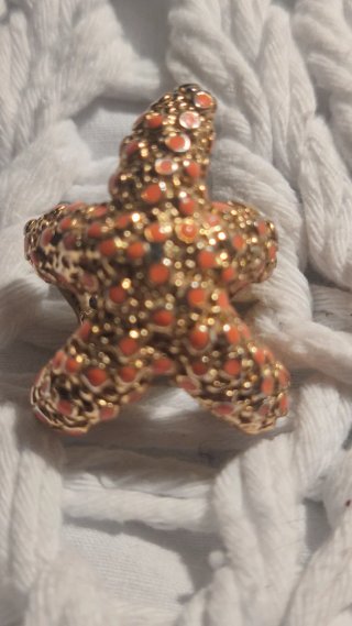 Anillo Bimba y Lola Estrella de Mar